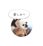mocochan2（個別スタンプ：8）