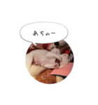 mocochan2（個別スタンプ：9）