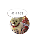 mocochan2（個別スタンプ：10）