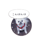 mocochan2（個別スタンプ：13）