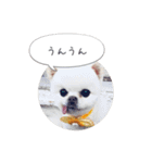 mocochan2（個別スタンプ：14）