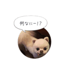 mocochan2（個別スタンプ：16）