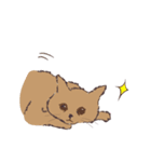 ネコと生活（個別スタンプ：34）