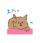 ネコと生活（個別スタンプ：39）