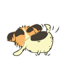 Boby the Dog（個別スタンプ：25）