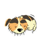 Boby the Dog（個別スタンプ：34）