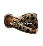 岳ママ（個別スタンプ：3）