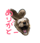 もか スタンプデビュー編（個別スタンプ：2）