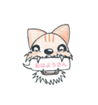 犬と猫のmix。名前はトラジ。（個別スタンプ：1）