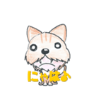 犬と猫のmix。名前はトラジ。（個別スタンプ：6）