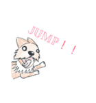 犬と猫のmix。名前はトラジ。（個別スタンプ：8）