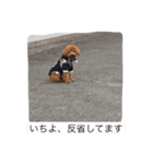ナオスタンプ3（個別スタンプ：7）
