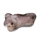 love you doge（個別スタンプ：1）
