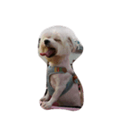 love you doge（個別スタンプ：3）
