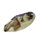 love you doge（個別スタンプ：8）