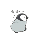 いろんな鳥たち（個別スタンプ：9）