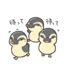 いろんな鳥たち（個別スタンプ：12）
