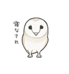 いろんな鳥たち（個別スタンプ：13）