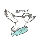 いろんな鳥たち（個別スタンプ：16）