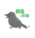 いろんな鳥たち（個別スタンプ：21）
