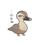 いろんな鳥たち（個別スタンプ：28）