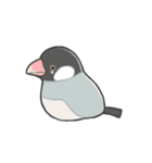 いろんな鳥たち（個別スタンプ：39）