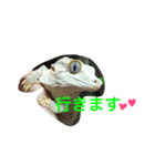 大好きなチビ達スタンプ（個別スタンプ：7）