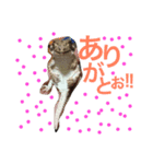 大好きなチビ達スタンプ（個別スタンプ：8）