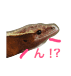 大好きなチビ達スタンプ（個別スタンプ：9）