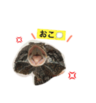 大好きなチビ達スタンプ（個別スタンプ：16）