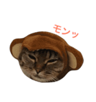 ネイ丸のスタンプ（個別スタンプ：15）