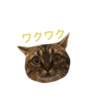 ネイ丸のスタンプ（個別スタンプ：25）