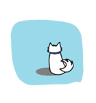 White dog sora（個別スタンプ：9）