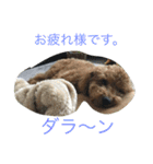 トイプードルharuの日常II（よく使う言葉）（個別スタンプ：29）