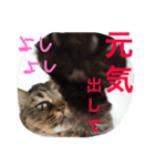 小梅さん2（個別スタンプ：1）