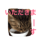 小梅さん2（個別スタンプ：2）