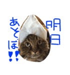 小梅さん2（個別スタンプ：5）