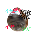 小梅さん2（個別スタンプ：6）