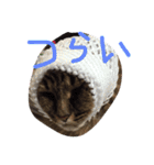小梅さん2（個別スタンプ：7）