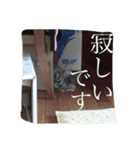 小梅さん2（個別スタンプ：11）