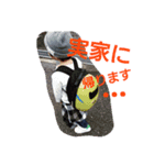 eisukesan（個別スタンプ：5）
