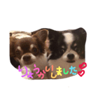 wanko hlu（個別スタンプ：1）