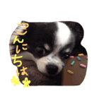 wanko hlu（個別スタンプ：7）