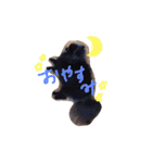 wanko hlu（個別スタンプ：11）