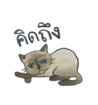 Mommy Mhee | The Siamese Cat（個別スタンプ：3）