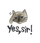 Mommy Mhee | The Siamese Cat（個別スタンプ：34）