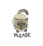 Mommy Mhee | The Siamese Cat（個別スタンプ：38）