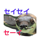 お犬様様（個別スタンプ：11）