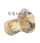 宇和島弁で喋るきなこ（個別スタンプ：3）