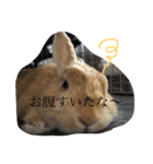 宇和島弁で喋るきなこ（個別スタンプ：6）